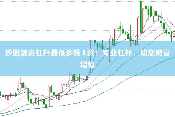 炒股融资杠杆最低多钱 L资：专业杠杆，助您财富增值