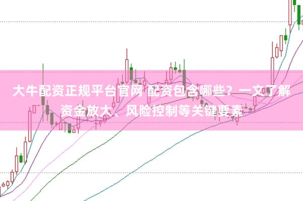 大牛配资正规平台官网 配资包含哪些？一文了解资金放大、风险控制等关键要素