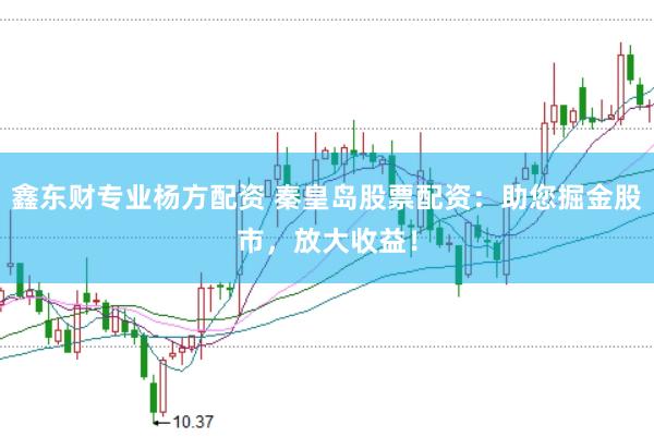鑫东财专业杨方配资 秦皇岛股票配资：助您掘金股市，放大收益！