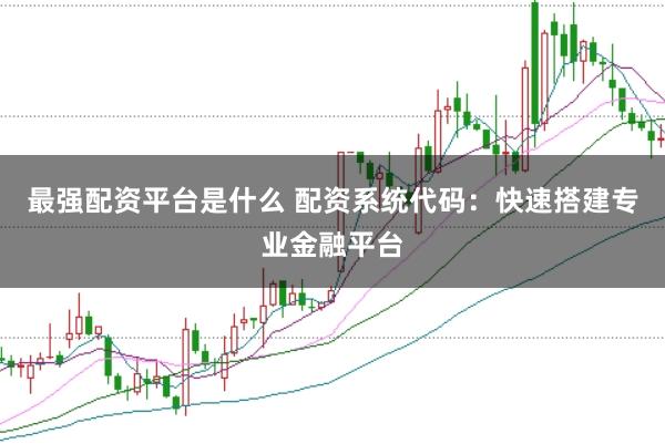 最强配资平台是什么 配资系统代码：快速搭建专业金融平台