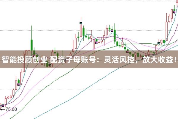 智能投顾创业 配资子母账号：灵活风控，放大收益！