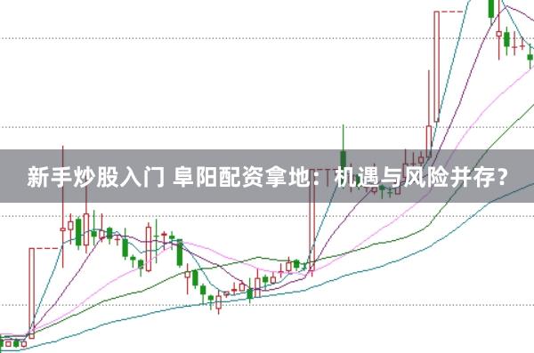 新手炒股入门 阜阳配资拿地：机遇与风险并存？