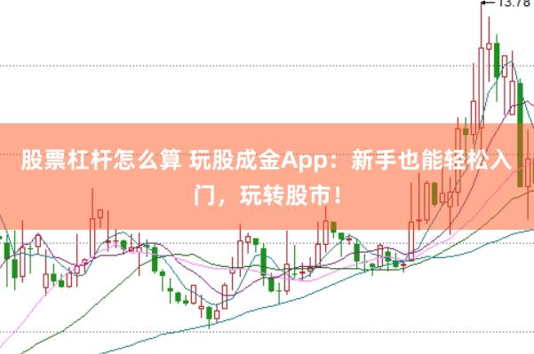 股票杠杆怎么算 玩股成金App：新手也能轻松入门，玩转股市！